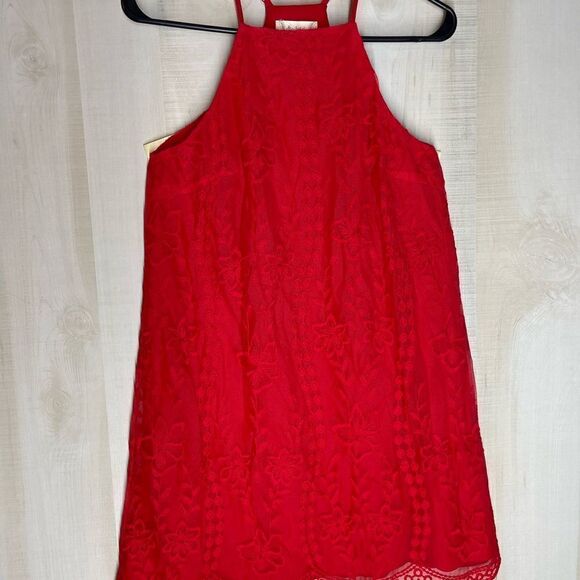 Altar’d State red sleeveless spaghetti strap lined dress, size small - Picture 6 of 16